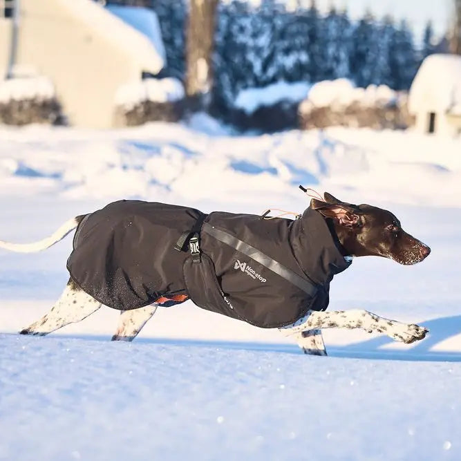 Non-Stop Dog Wear Trekking Insulated Dog Jacket