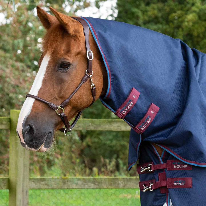 Premier Equine Akoni 0g Turnout Rug with Classic Neck Cover