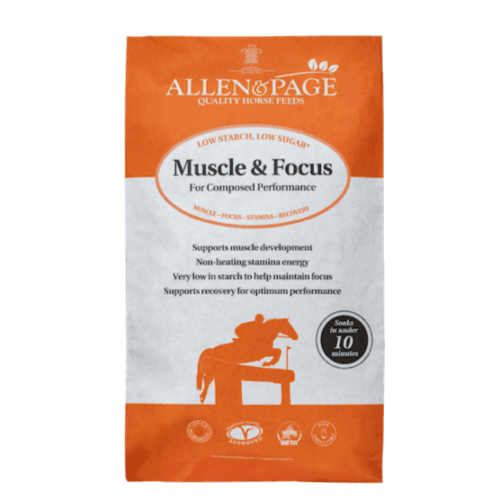 Allen & Page Muscle & Focus