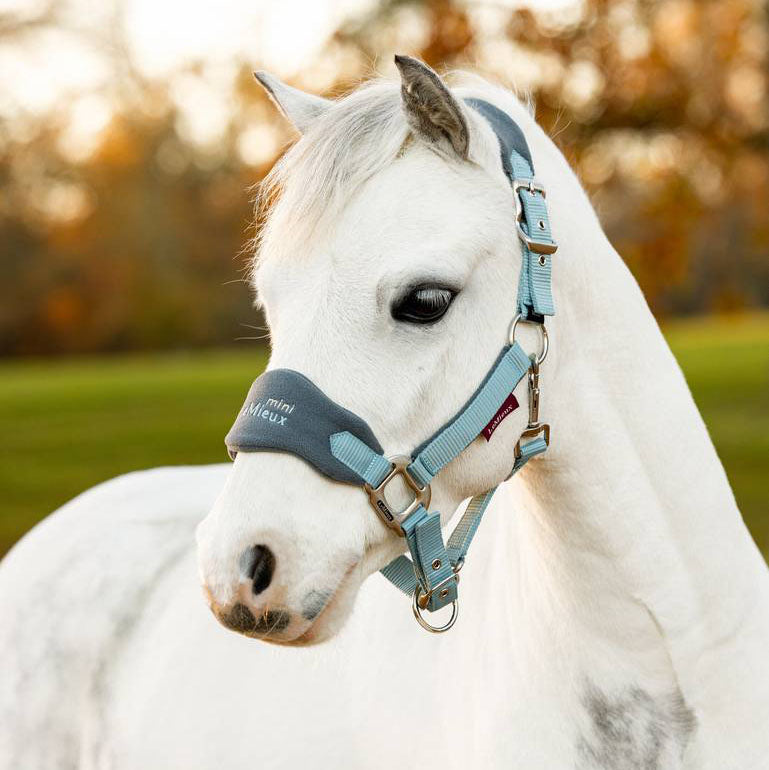 LeMieux Mini Vogue Fleece Headcollar with Leadrope - Glacier