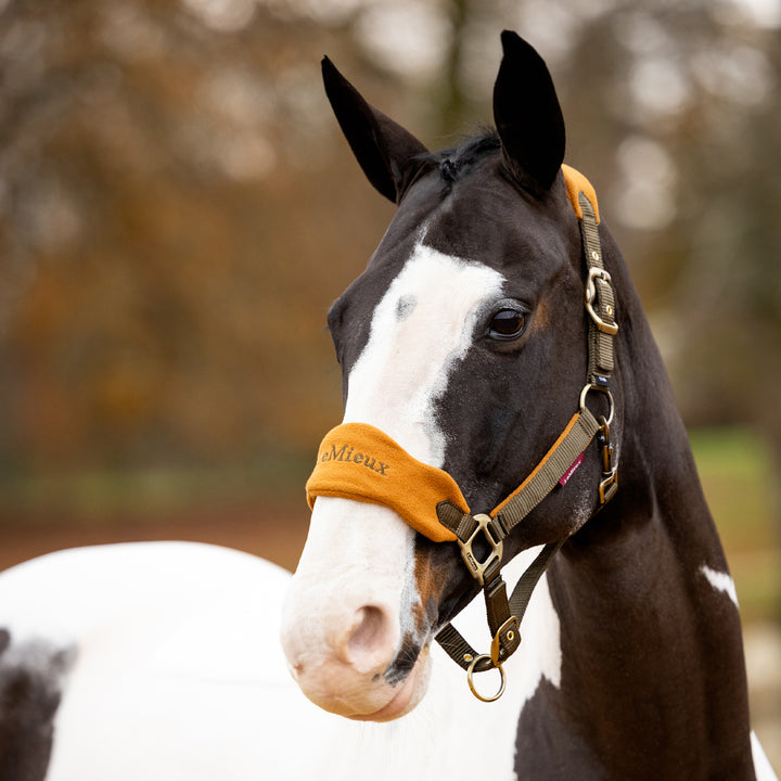 LeMieux Vogue Fleece Headcollar with Leadrope - Alpine