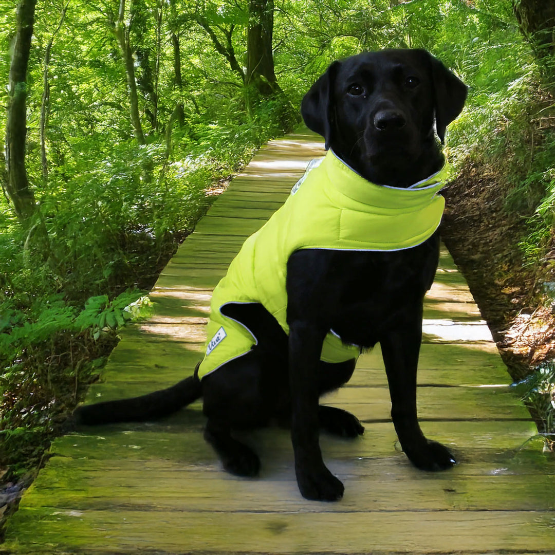 Ancol Viva Reversible Hi-Viz Dog Coat