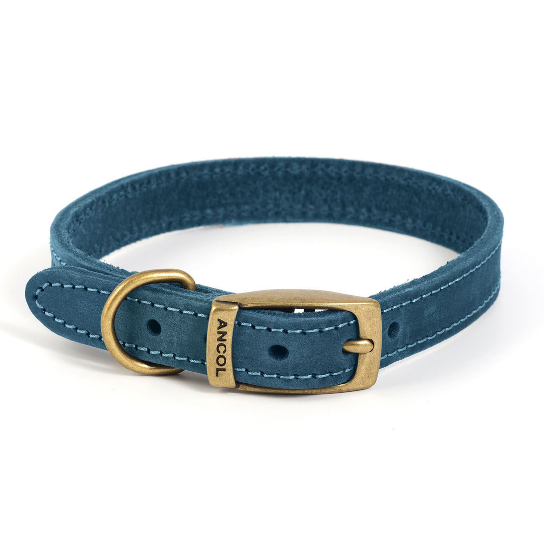 Ancol Timberwolf Leather Dog Collar#Blue