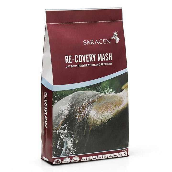 Saracen Re-Covery Mash