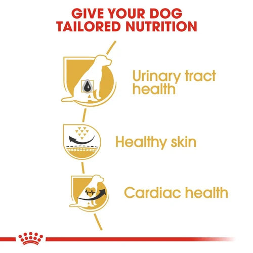 Royal Canin Dalmation Dog Food