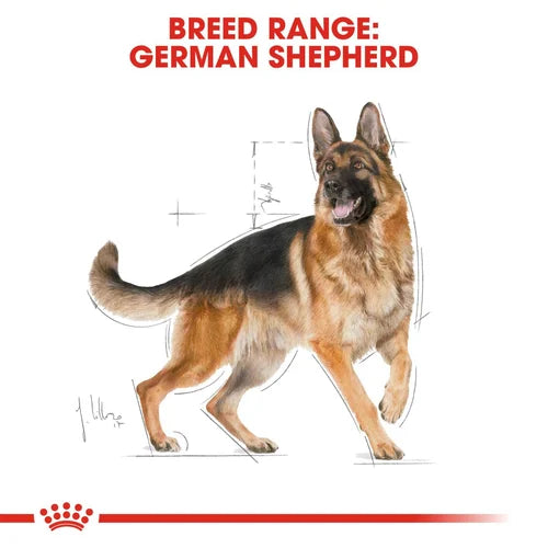 Royal Canin German Shepherd Adult Dry Pet Food For Dogs