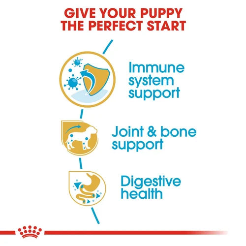 Royal Canin Dachshund Puppy Dog Dry Food