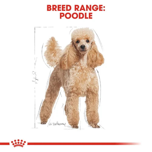 Royal Canin Poodle Adult/Mature Dog Dry Food