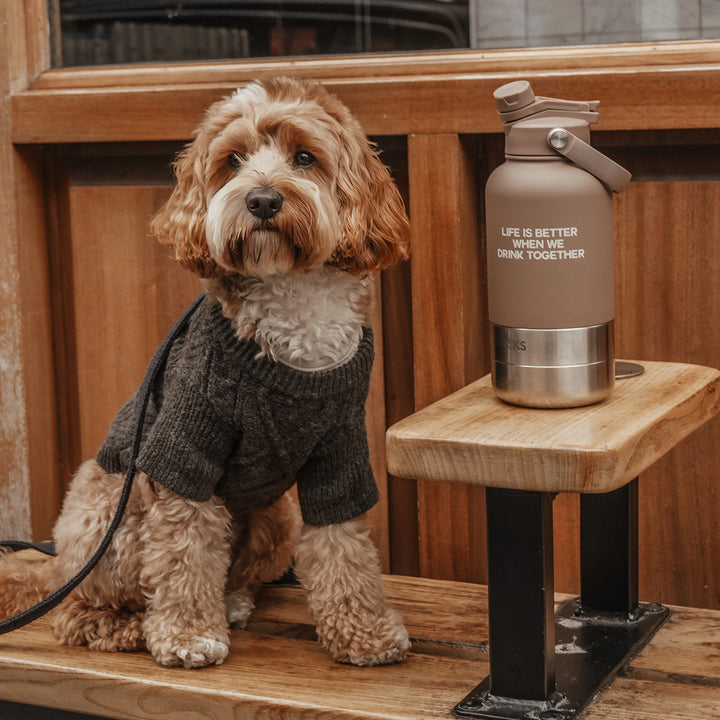 By Teddy The Bowl Bottle