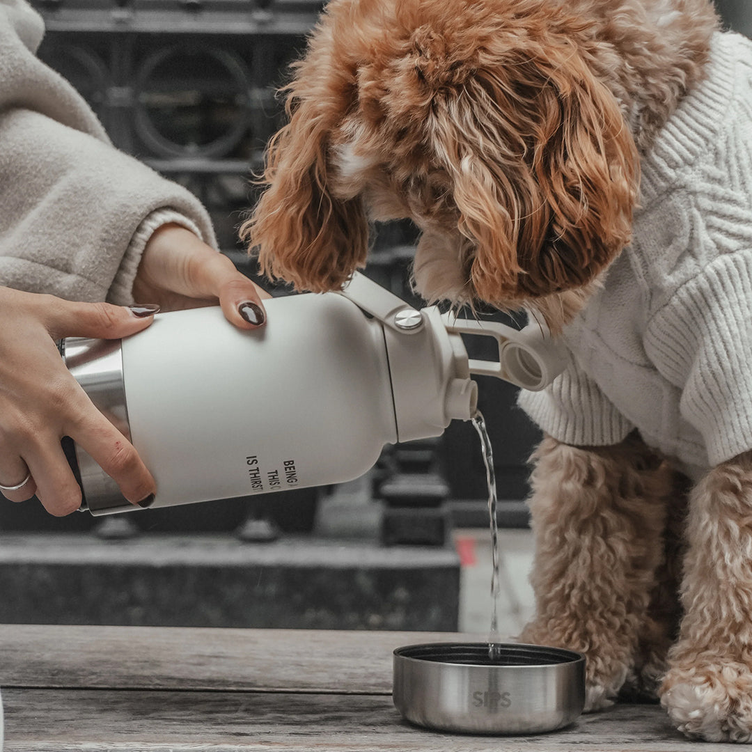 By Teddy The Bowl Bottle