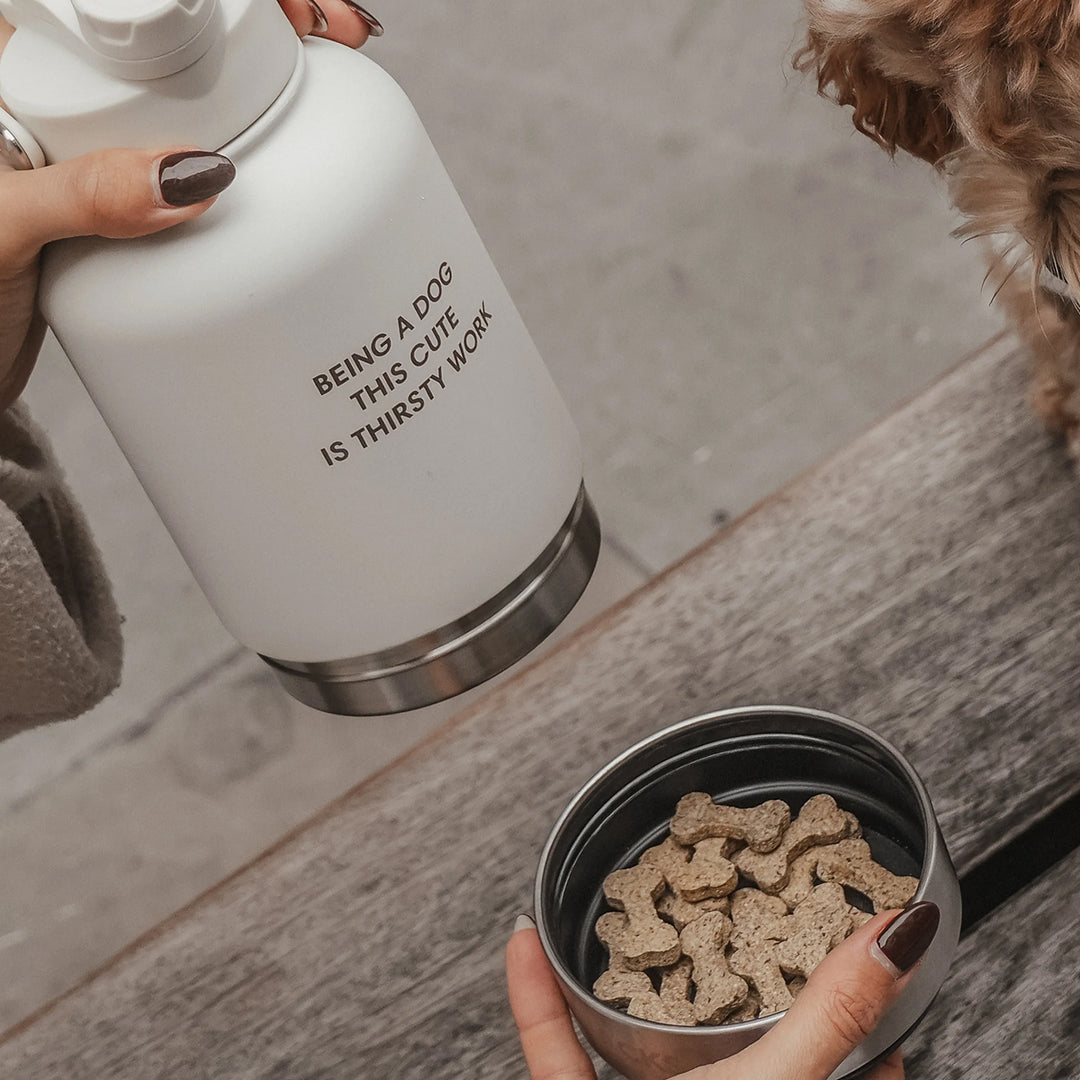 By Teddy The Bowl Bottle