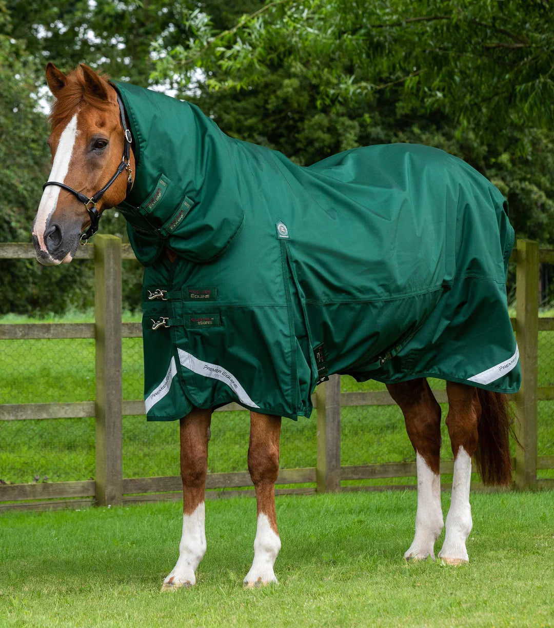 The Premier Equine Buster Storm Classic 220g Combo in Green#Green