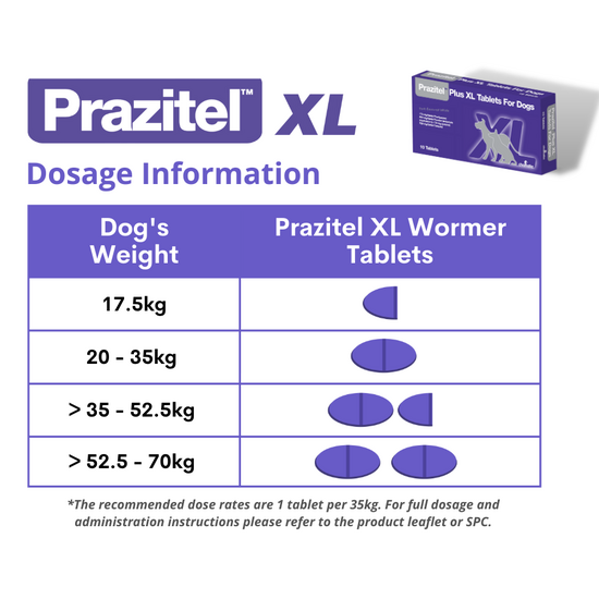 Prazitel Plus XL Worming Tablets For Dogs