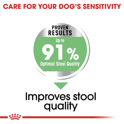 Royal Canin Medium Digestive Care Dog Food