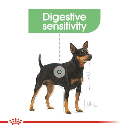 Royal Canin Mini Digestive Care Dry Pet Food For Dogs