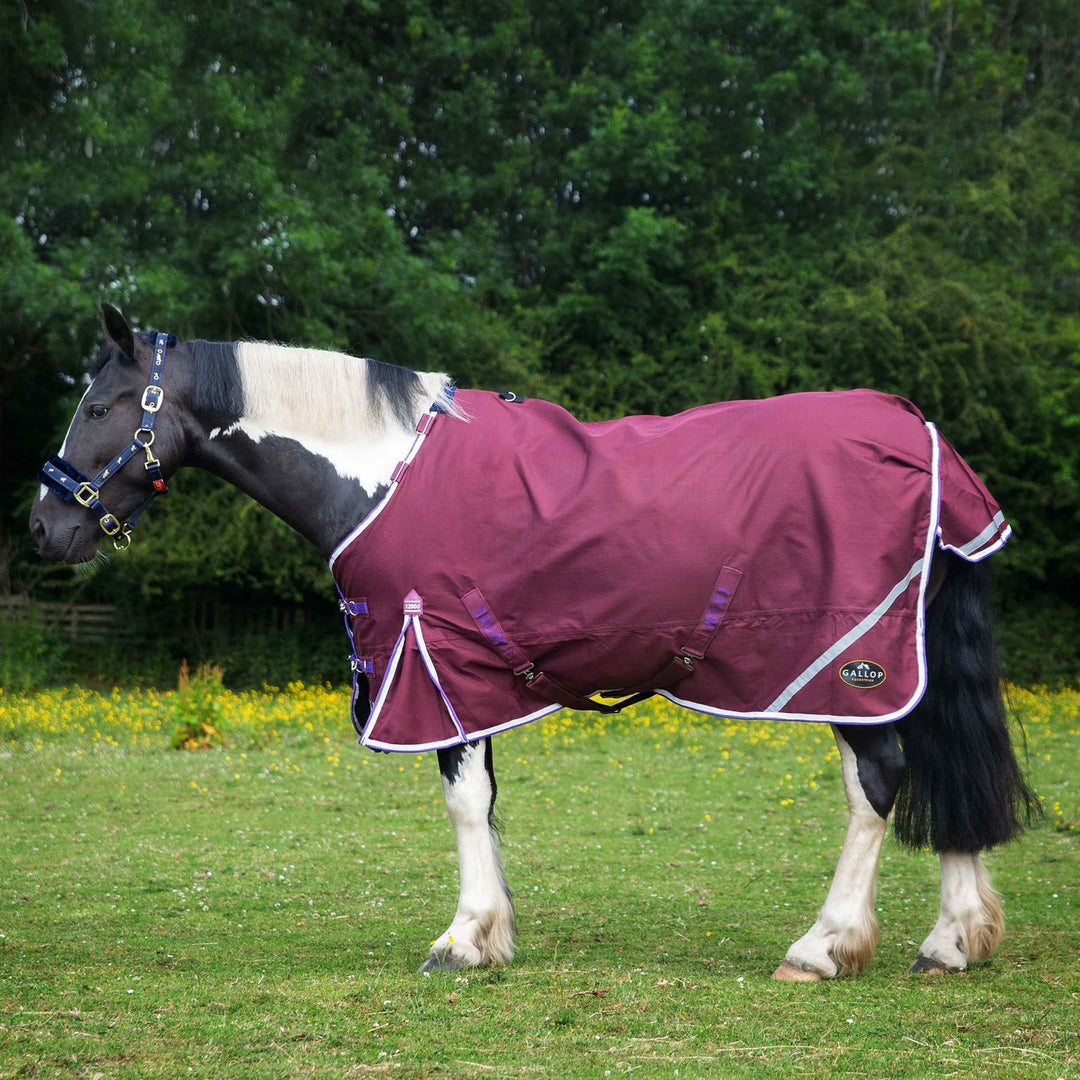 Gallop Trojan Duraproof Standard 0g Turnout Rug
