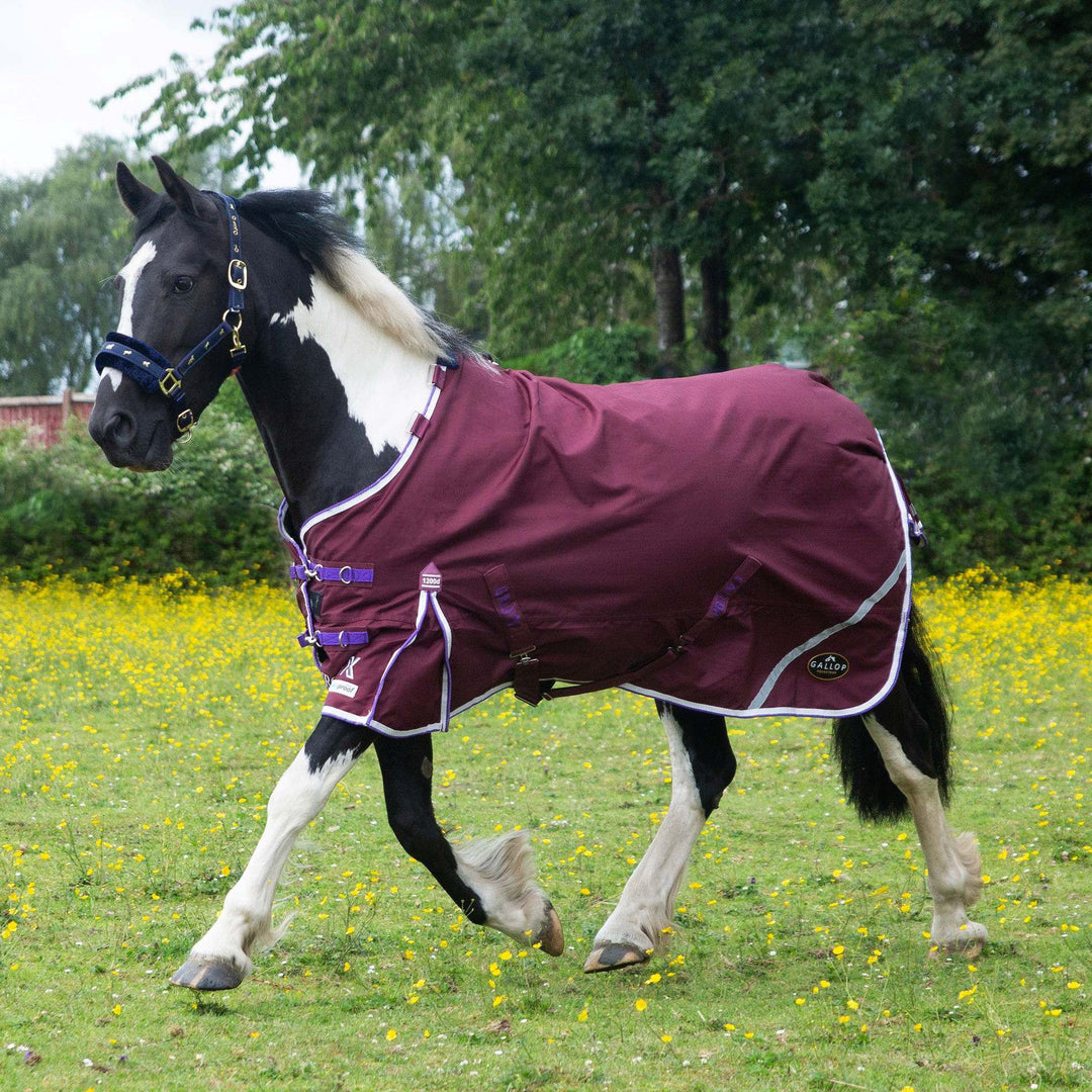 Gallop Trojan Duraproof Standard 0g Turnout Rug