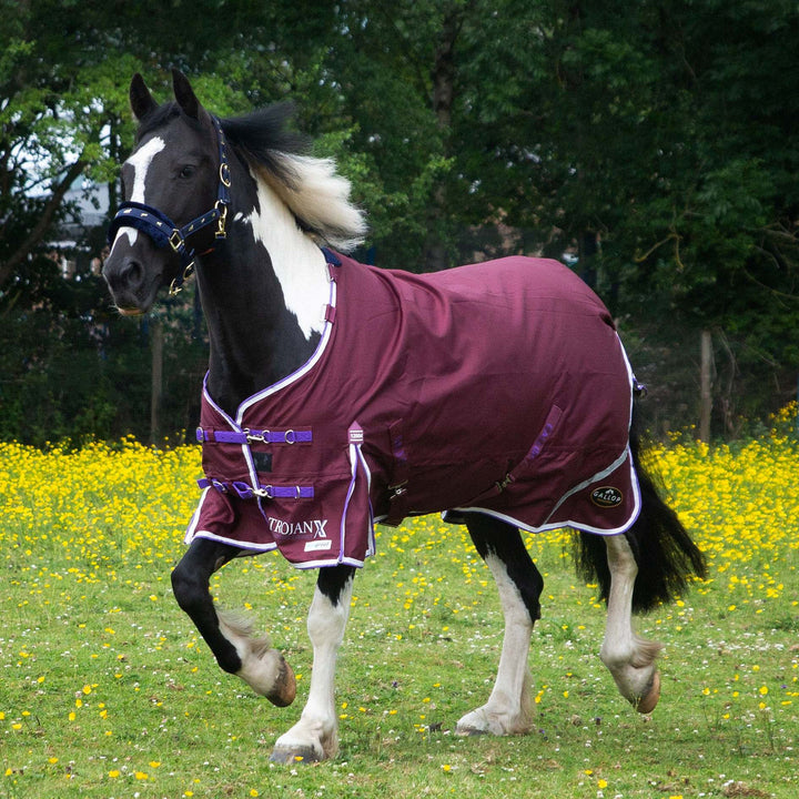 Gallop Trojan Duraproof Standard 0g Turnout Rug