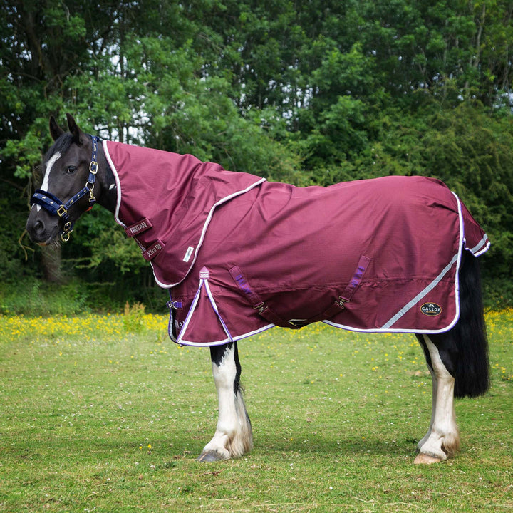 Gallop Trojan Duraproof Standard 0g Turnout Rug