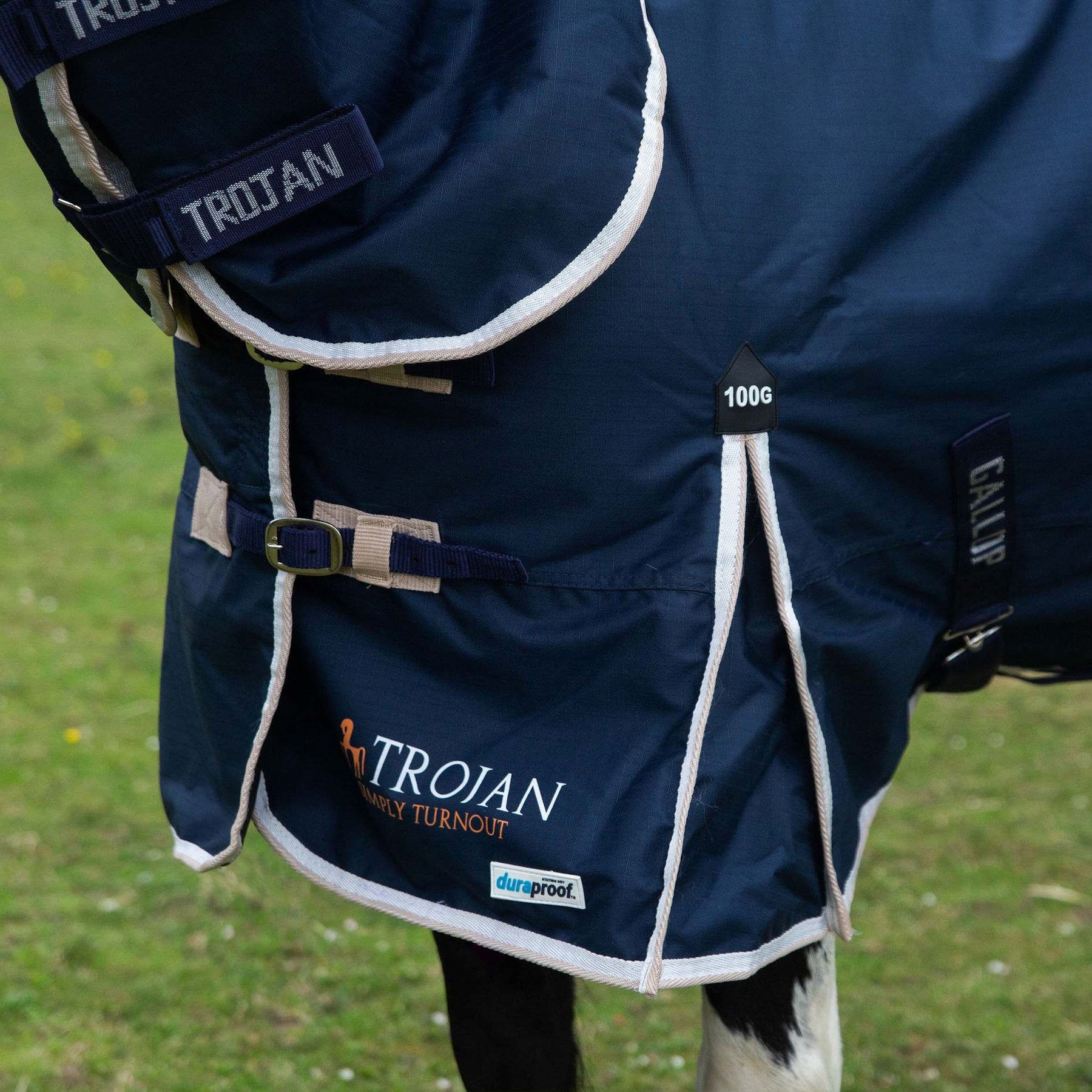 200g TURNOUT RUG Medium Weight Gallop Trojan Full Neck Combo Horse Rug