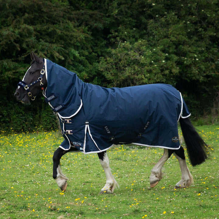 Gallop Trojan 100g Full Neck Turnout Rug