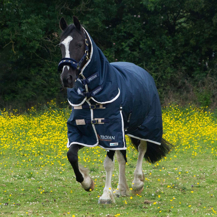 Gallop Trojan 100g Full Neck Turnout Rug