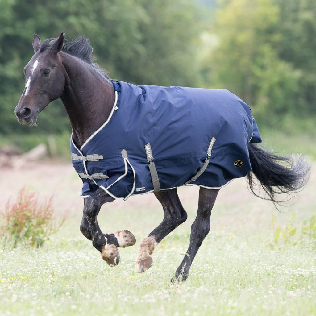 Gallop Trojan 300g Standard Turnout Rug