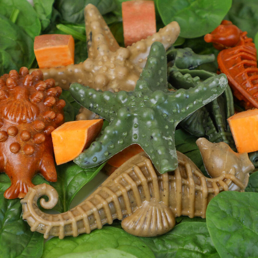 Elkwood Vegetable Dental Sea Creatures with Seaweed