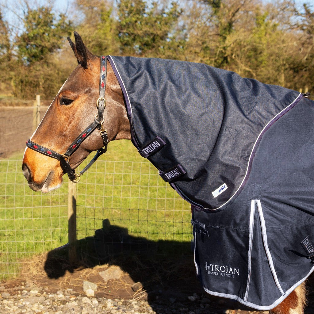 Gallop Trojan 150g Duraproof Turnout Neck Cover