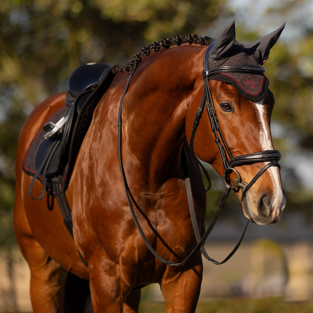 Brown horse wearing the LeMieux Classic Fly Hood in Cinder Brown