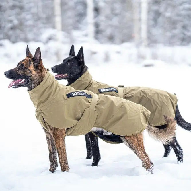 Non-Stop Dog Wear Glacier Dog Jacket