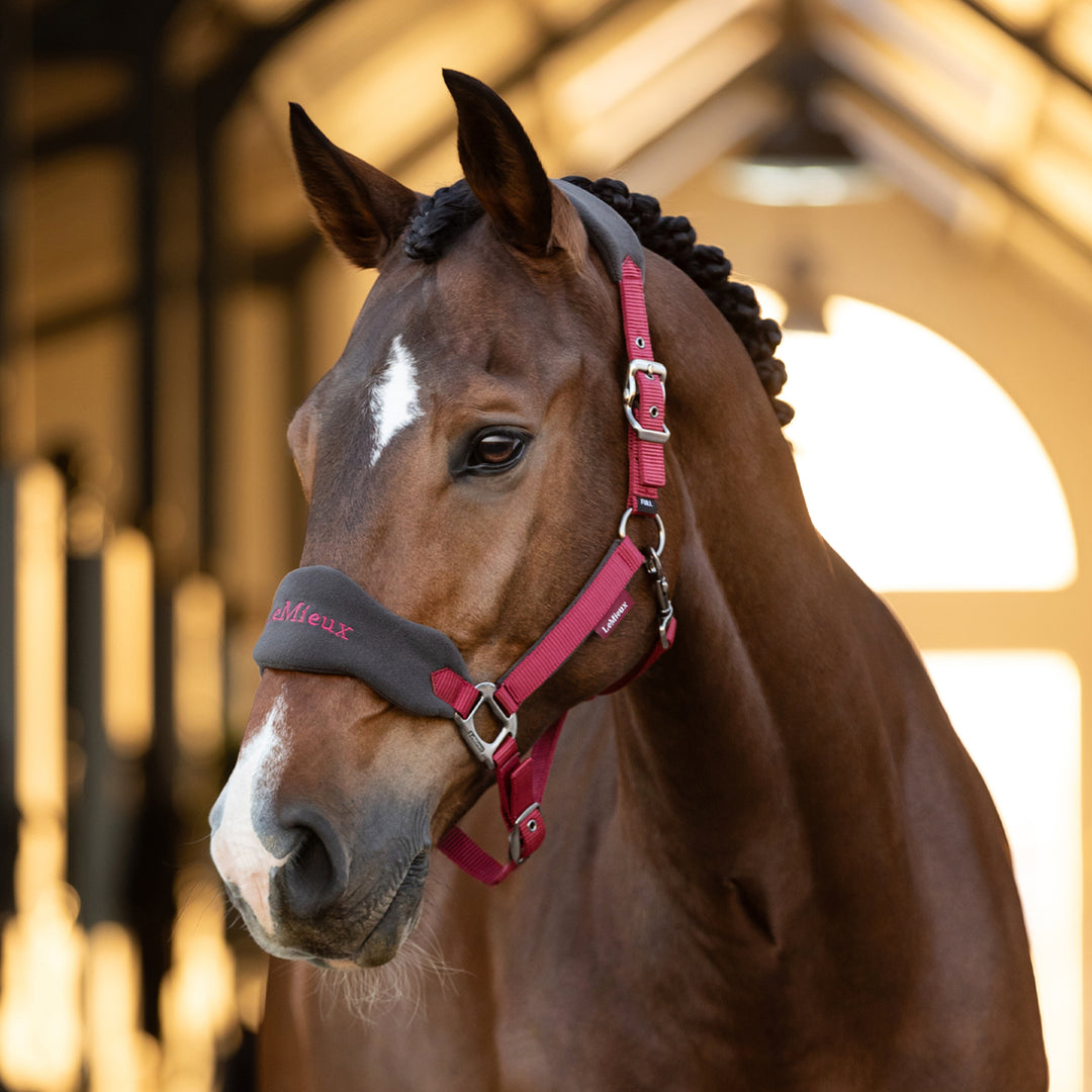 LeMieux Vogue Fleece Headcollar with Leadrope - Ember