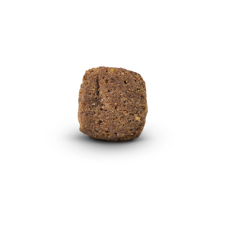 Arden Grange Premium Adult with Chicken & Rice