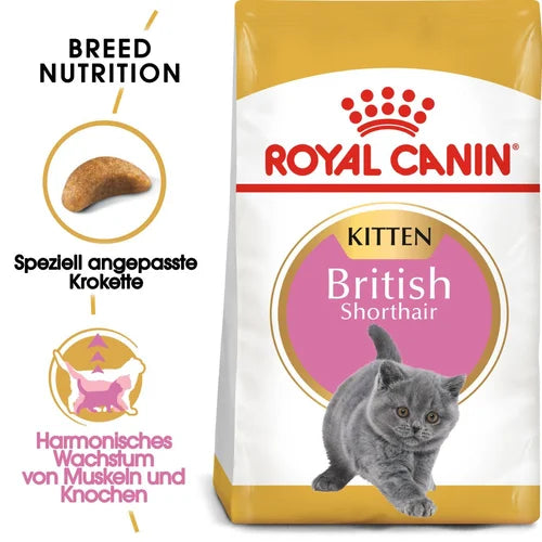 Royal Canin British Short Hair Kitten Complete Dry Food