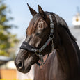 LeMieux Vogue Headcollar & Leadrope - Blossom