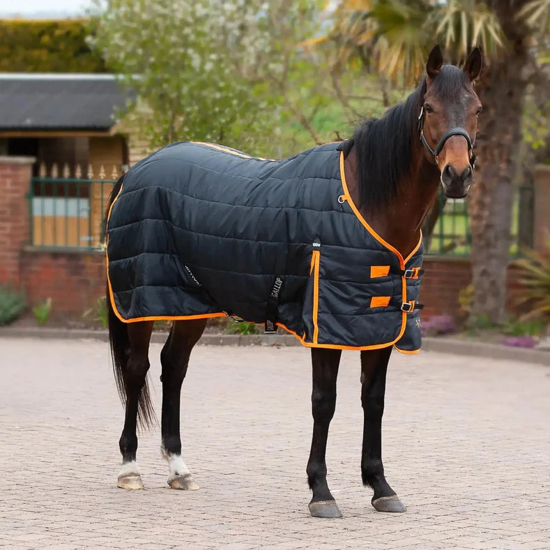 Trojan 100 Standard Neck Stable Rug 100g | Millbry Hill