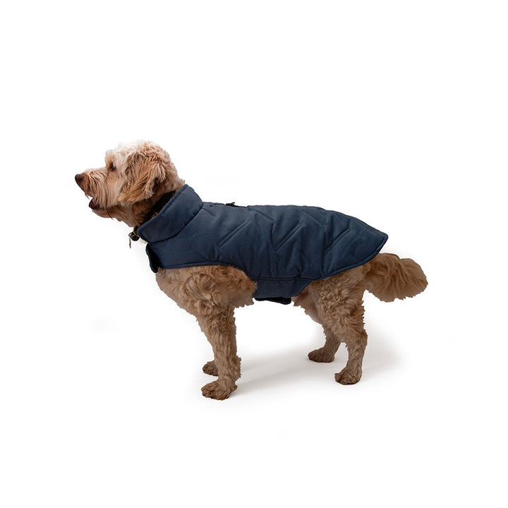 Great&Small Penrose Midnight Twill Padded Coat