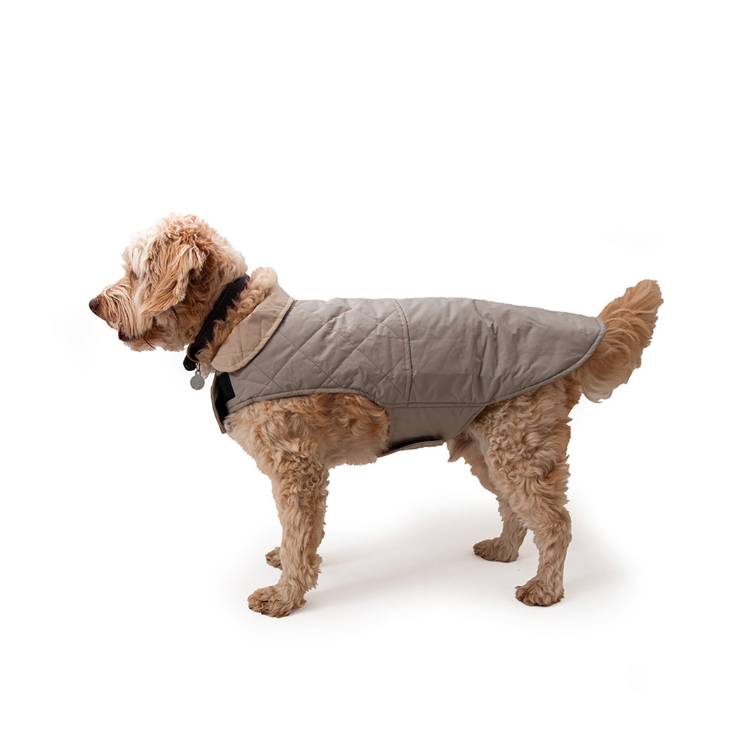Great&Small Penrose Reversible Water Resistant Coat