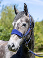 LeMieux Vogue Headcollar & Leadrope - Mimosa