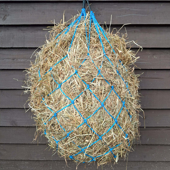 Gallop Haynet