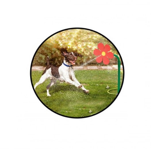 Smart Choice Dancing Flower Pet Water Sprinkler