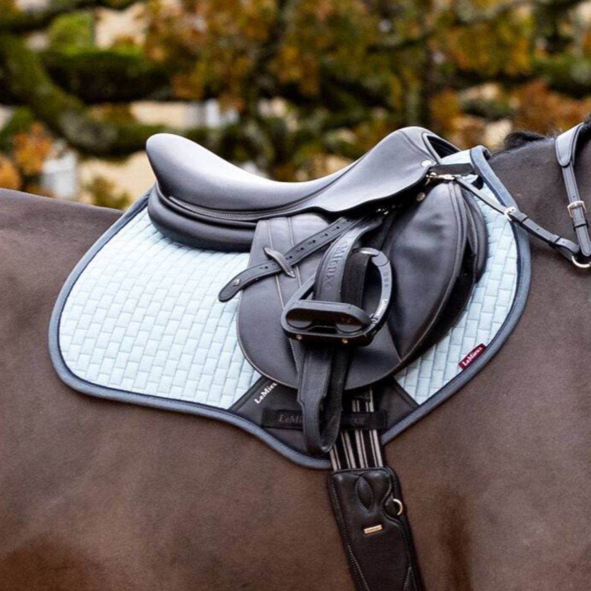 Saddlery Horse Tack Online Tack Shop Millbry Hill