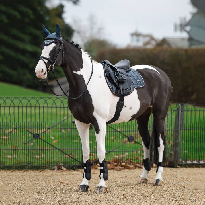 LeMieux Loire Classic GP Square