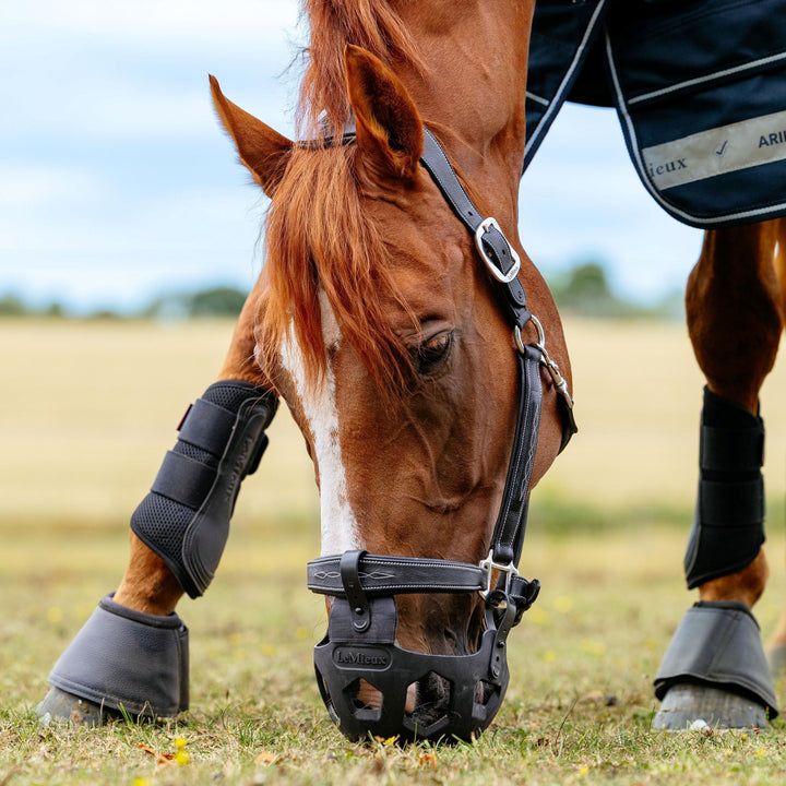 Horse wearing athe LeMieux Noma grazing muzzle in a field