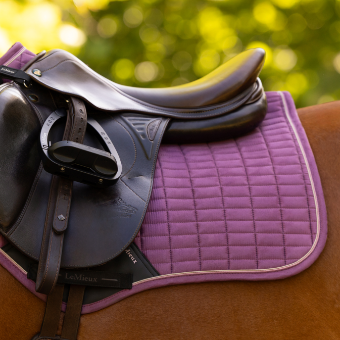 LeMieux Suede Close Contact Square - Mallow