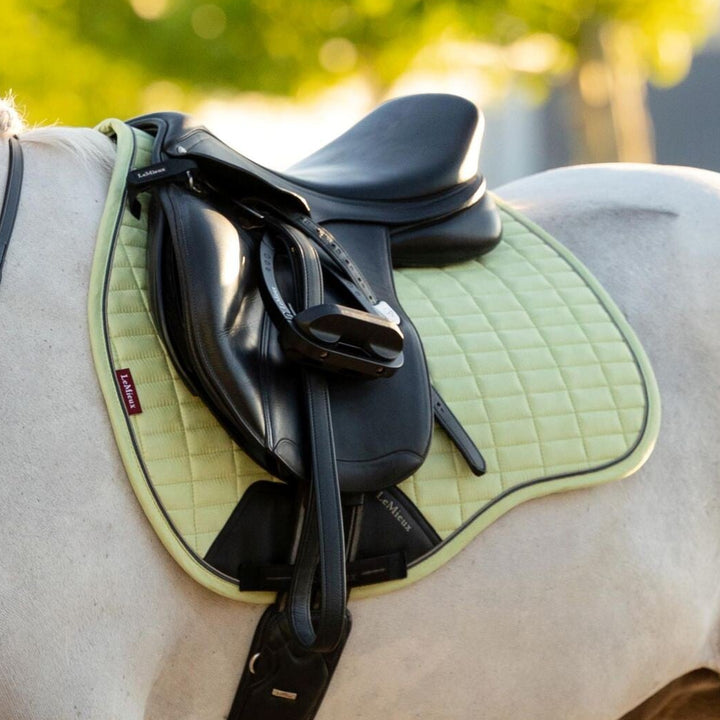 LeMieux Suede GP Square - Macaron