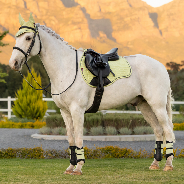 LeMieux Suede GP Square - Macaron