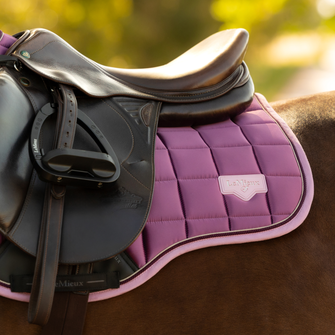 LeMieux Loire Classic GP Square - Mallow