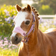 LeMieux Mini Vogue Headcollar & Leadrope - Macaron