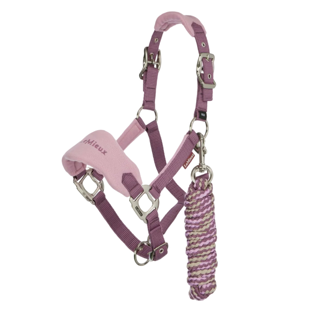 Purple horse halter with pink noseband and rope on a white background